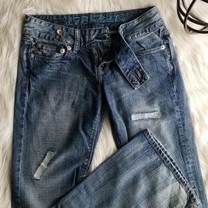 Boho Chic 26 x 34 Jeans Embroidered Flared Boot Cu